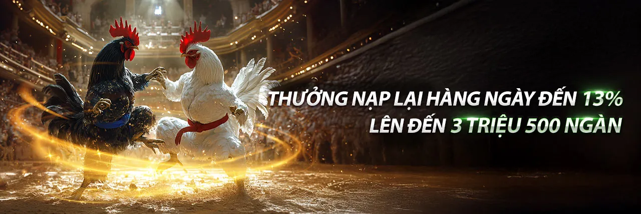 Đá Gà Trực Tiếp 1.com – Sân Chơi Đỉnh Cao